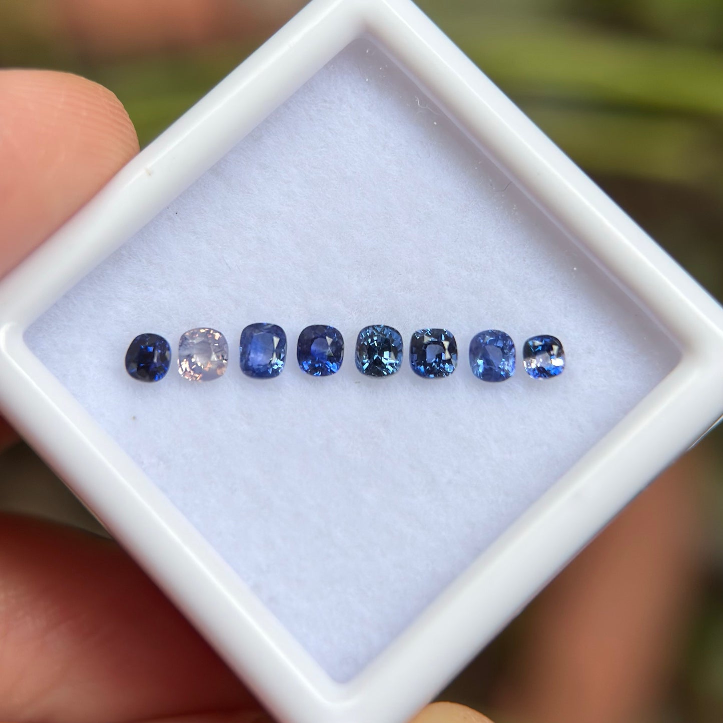 0,86ct/ 8Pcs Natural Blue & White Sapphire Viet Nam. Cushion Shape. No Treatment Sapphire Luc Yen.