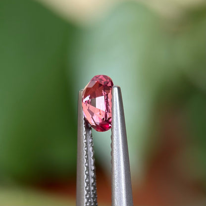 0.65ct Natural Pink Spinel Vietnam. Oval Shape.