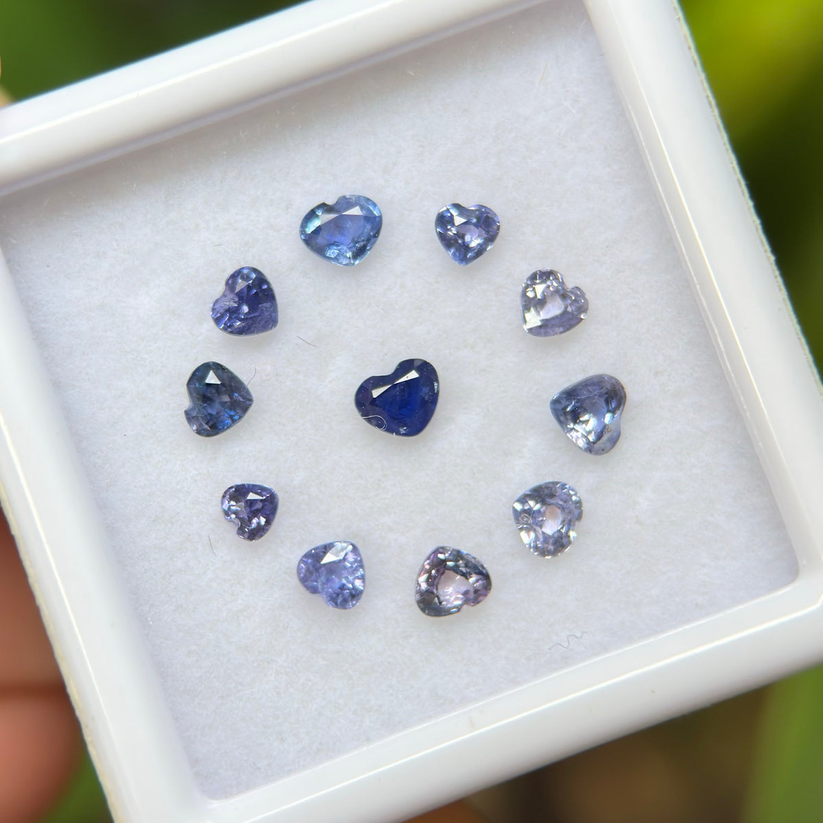 1,12ct/ 11Pcs Natural Blue & Purple Sapphire Viet Nam. Heart Shape. No Treatment Sapphire Luc Yen.