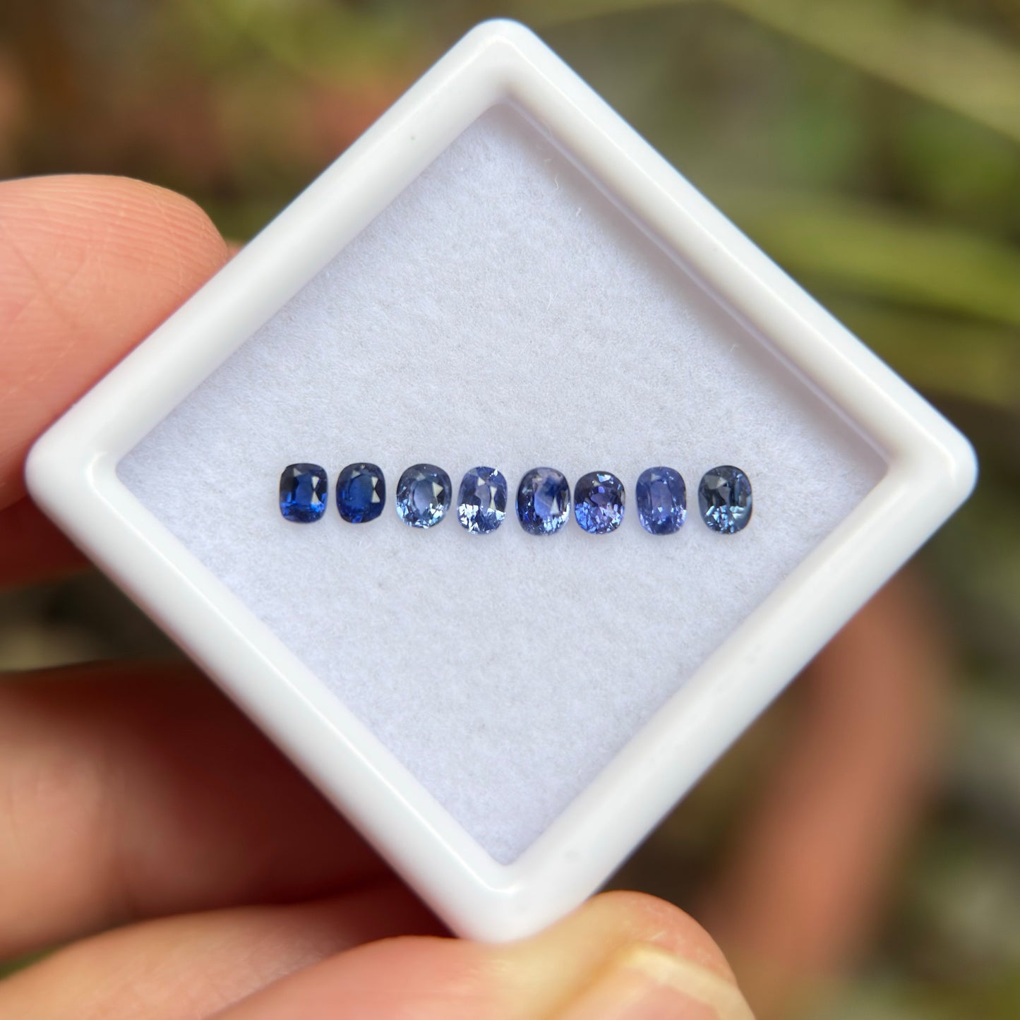 0,83ct/ 8Pcs Natural Blue Sapphire Viet Nam. Cushion Shape. No Treatment Sapphire Luc Yen.