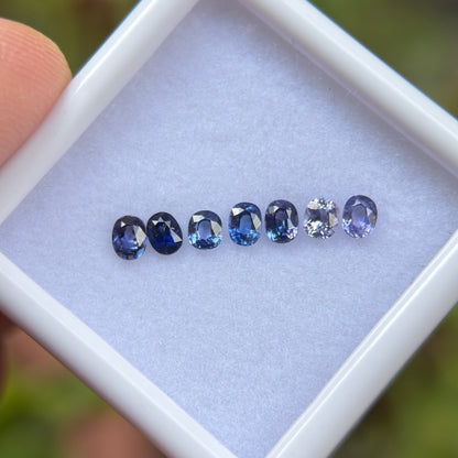 0,77ct/ 7Pcs Natural Blue Sapphire Viet Nam. Cushion Shape. No Treatment Sapphire Luc Yen.