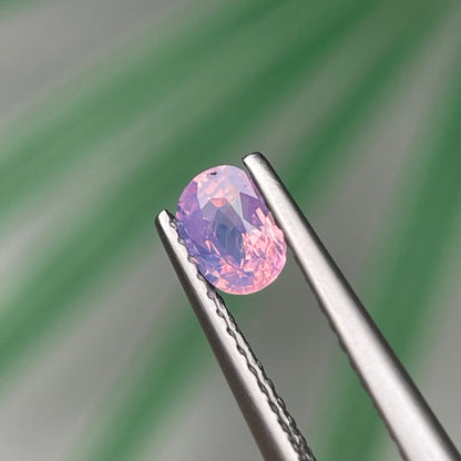 0.49ct Natural Milky Pink Sapphire Vietnam