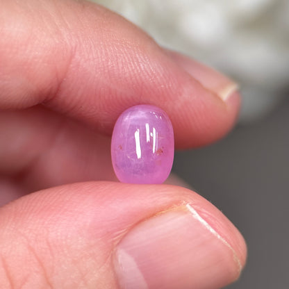 3,18ct Natural Pink Cacbochon Sapphire Viet Nam. No Treatment Sapphire Luc Yen.