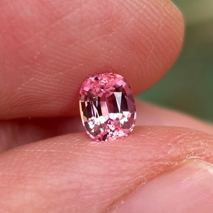 0.61 ct Natural Pink Spinel Vietnam. Cushion Shape. No Treatment.