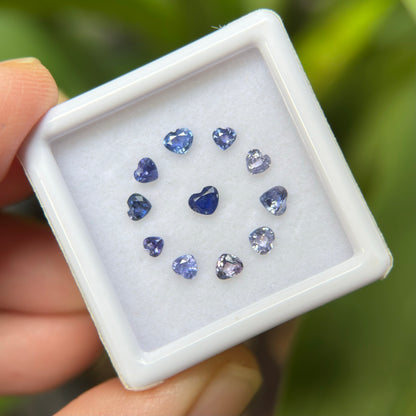 1,12ct/ 11Pcs Natural Blue & Purple Sapphire Viet Nam. Heart Shape. No Treatment Sapphire Luc Yen.