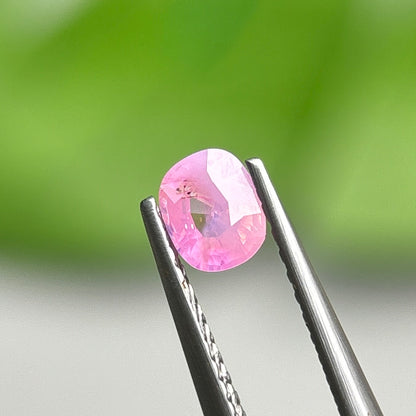 0,39ct Natural Pink Milky Sapphire Vietnam. Cushion Shape. No Treatment Milky Sapphire Luc Yen.