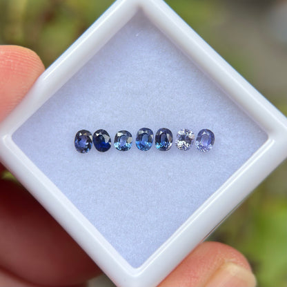 0,77ct/ 7Pcs Natural Blue Sapphire Viet Nam. Cushion Shape. No Treatment Sapphire Luc Yen.