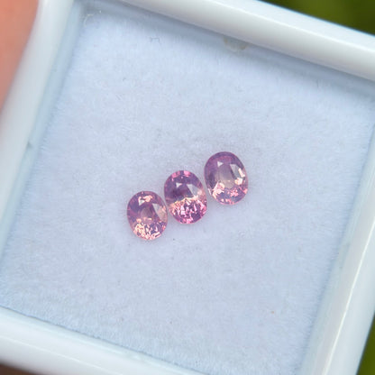 0.58 ct / 3Pcs Natural Pink  Milky Sapphire Viet Nam. Oval Shape. No treatment.