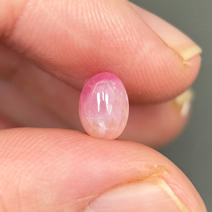 1,76ct Natural Pink Cacbochon Sapphire Viet Nam. No Treatment Sapphire Luc Yen.