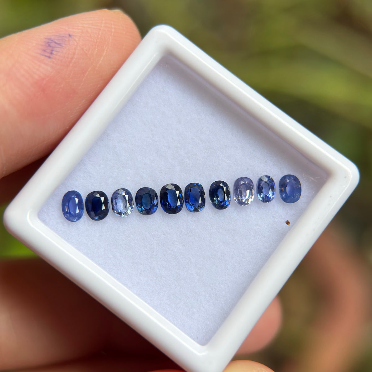 1,33ct/ 10Pcs Natural Blue Sapphire Viet Nam. Cushion & Oval Shape. No Treatment Sapphire Luc Yen.