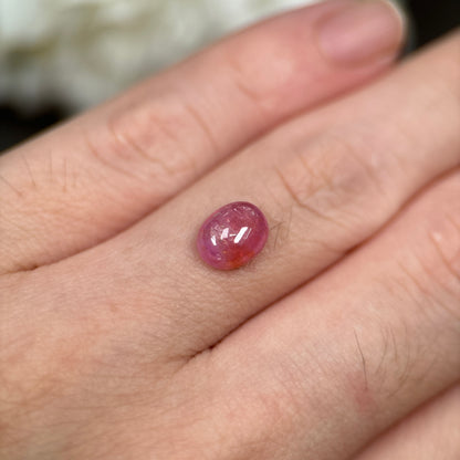 2,36ct Natural Pinkish Orange Cacbochon Sapphire Viet Nam. No Treatment Sapphire Luc Yen.