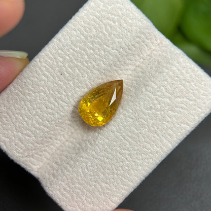 3,94ct Natural Yellow Tourmaline Vietnam. Pear Shape. No Treatment, No Heat Tourmaline Luc Yen.