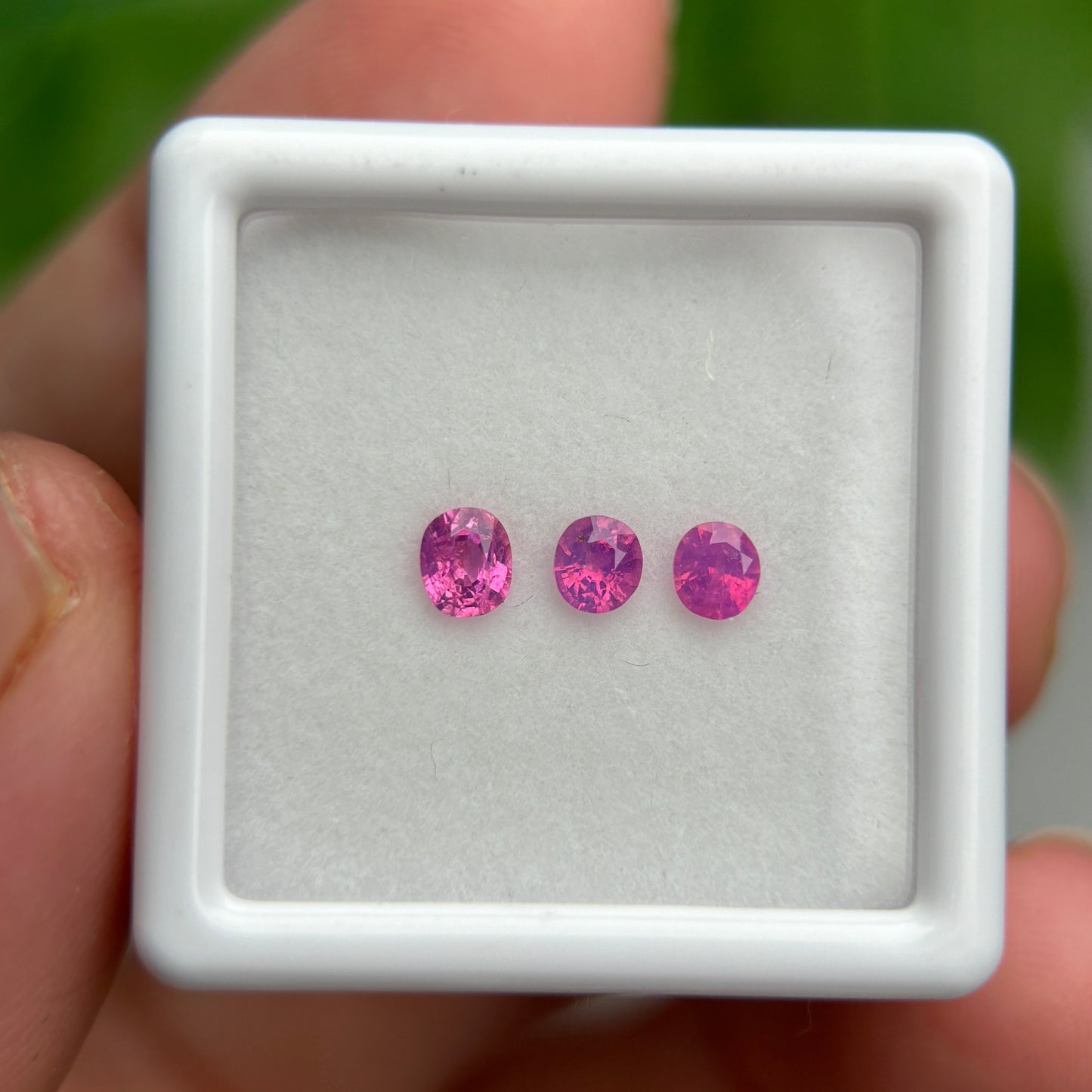 0,55ct/3Pcs Natural Pink Milky Sapphire Vietnam. Cushion Shape. No Treatment Milky Sapphire Luc Yen.