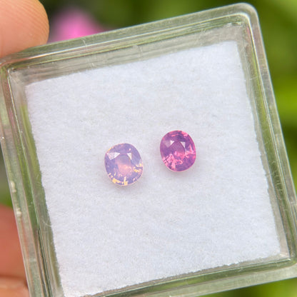 0.56 ct / 2Pcs Natural Pink  Milky Sapphire Viet Nam. Cushion Shape. No treatment.