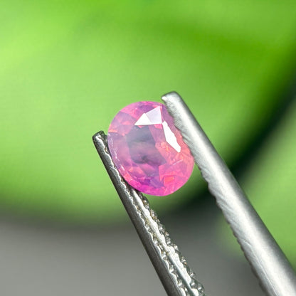 0,54 Natural Pink Milky Sapphire Vietnam. Oval Shape. No Treatment Milky Sapphire Luc Yen.
