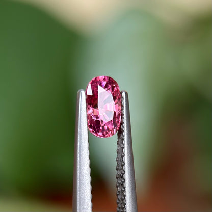 0.65ct Natural Pink Spinel Vietnam. Oval Shape.