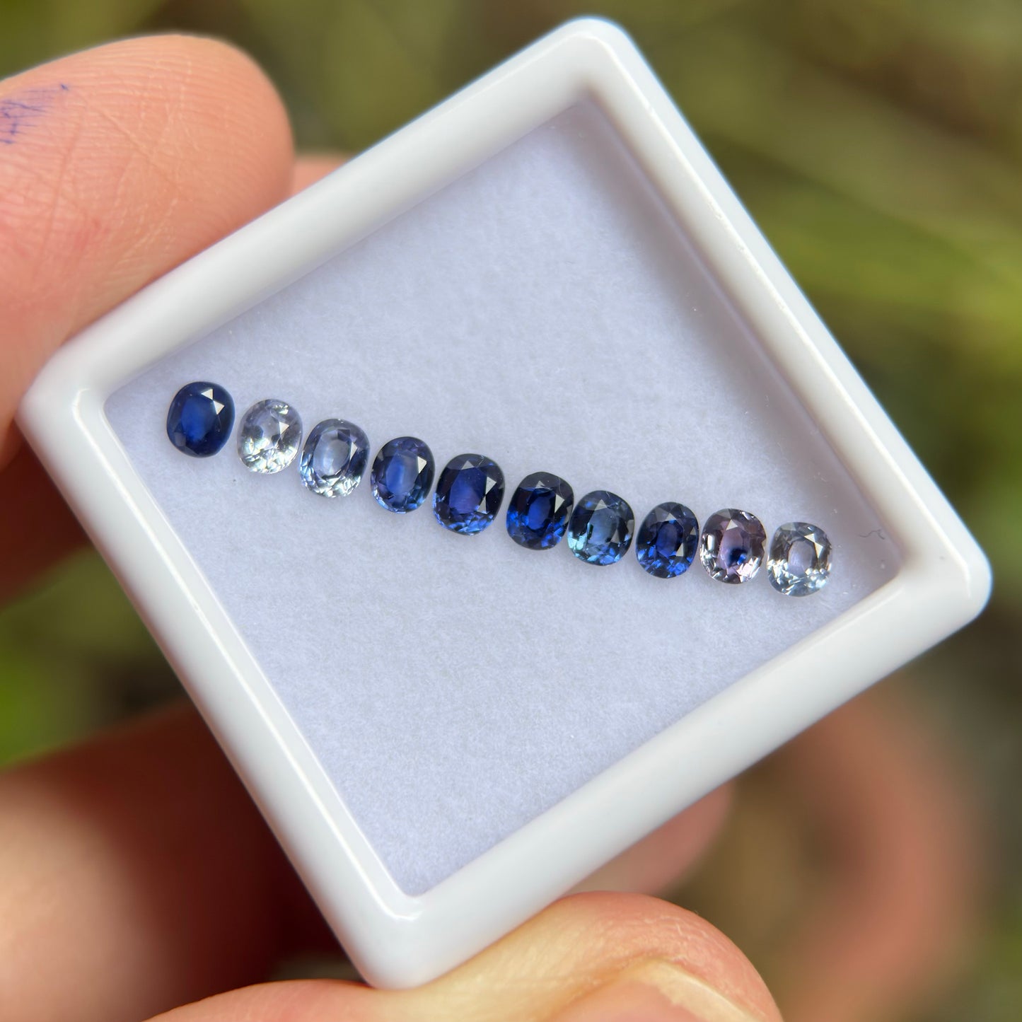 1,25ct/ 10Pcs Natural Blue & White Sapphire Viet Nam. Cushion Shape. No Treatment Sapphire Luc Yen.