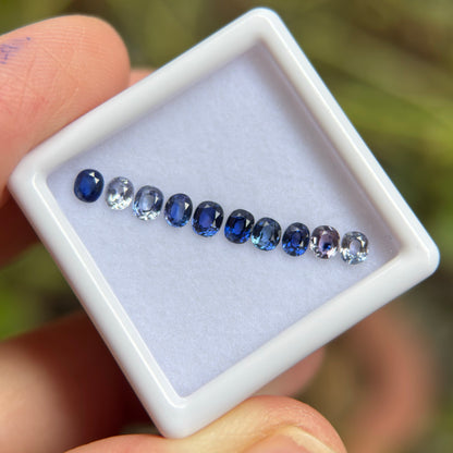 1,25ct/ 10Pcs Natural Blue & White Sapphire Viet Nam. Cushion Shape. No Treatment Sapphire Luc Yen.