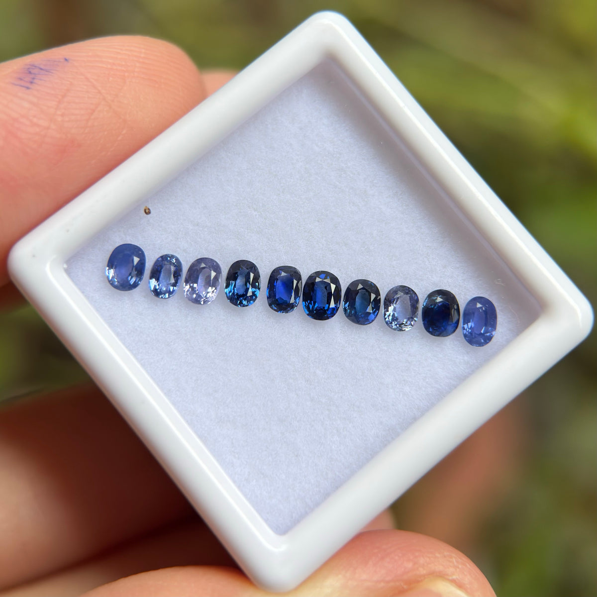 1,33ct/ 10Pcs Natural Blue Sapphire Viet Nam. Cushion & Oval Shape. No Treatment Sapphire Luc Yen.