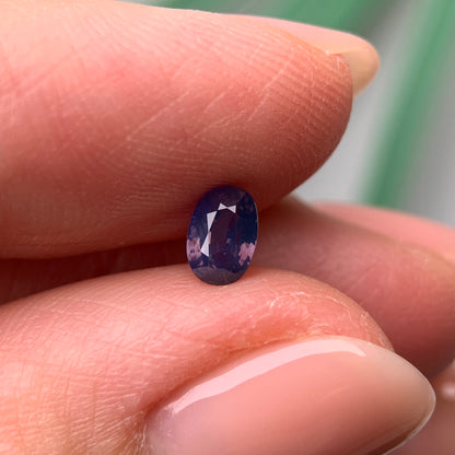 0.55ct Natural Milky Sapphire Vietnam