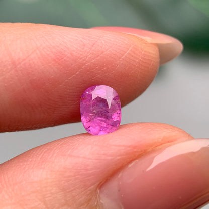 0.79ct Natural Milky Pink Sapphire Vietnam