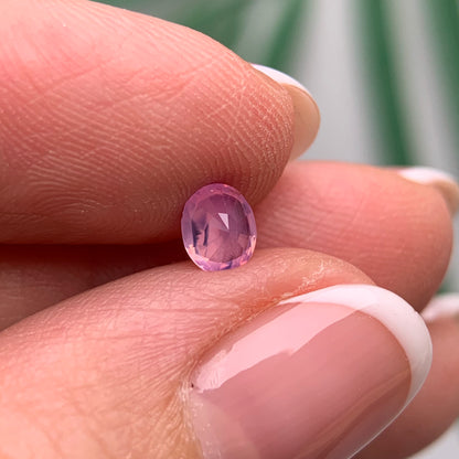 0.48ct Natural Milky Pink Sapphire Vietnam