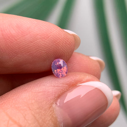 0.44ct Natural Milky Pink Sapphire Vietnam