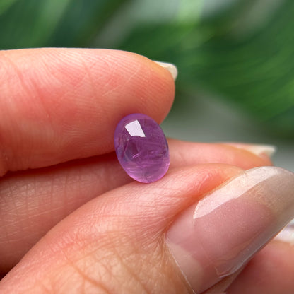 2.62ct Natural Purple Sapphire Vietnam.