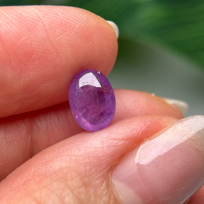 2.62ct Natural Purple Sapphire Vietnam.
