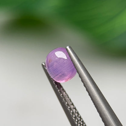 1.44ct Natural Pink Sapphire Vietnam.