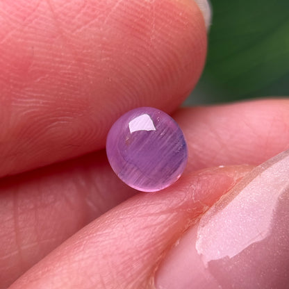 1.44ct Natural Pink Sapphire Vietnam.