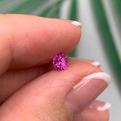 0.42ct Natural Pink Sapphire Vietnam