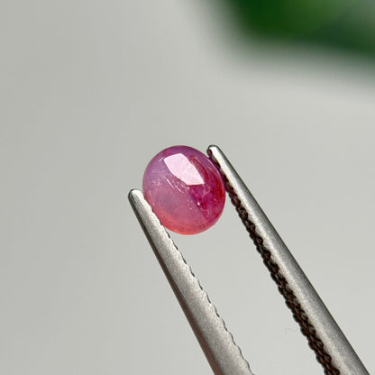 0.65ct Natural Pink Sapphire Vietnam.