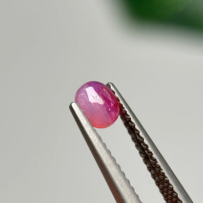 0.65ct Natural Pink Sapphire Vietnam.