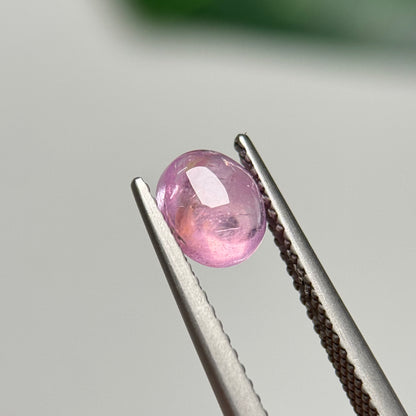 1.41ct Natural Pink Sapphire Vietnam.