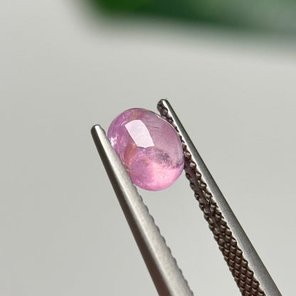 1.41ct Natural Pink Sapphire Vietnam.