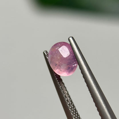 1.41ct Natural Pink Sapphire Vietnam.